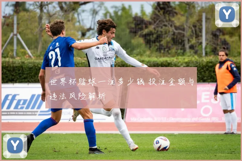 世界杯赌球一注多少钱 投注金额与违法风险解析