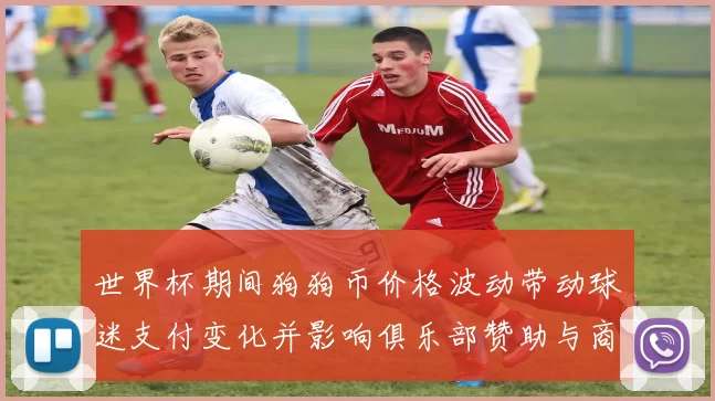 世界杯期间狗狗币价格波动带动球迷支付变化并影响俱乐部赞助与商业模式