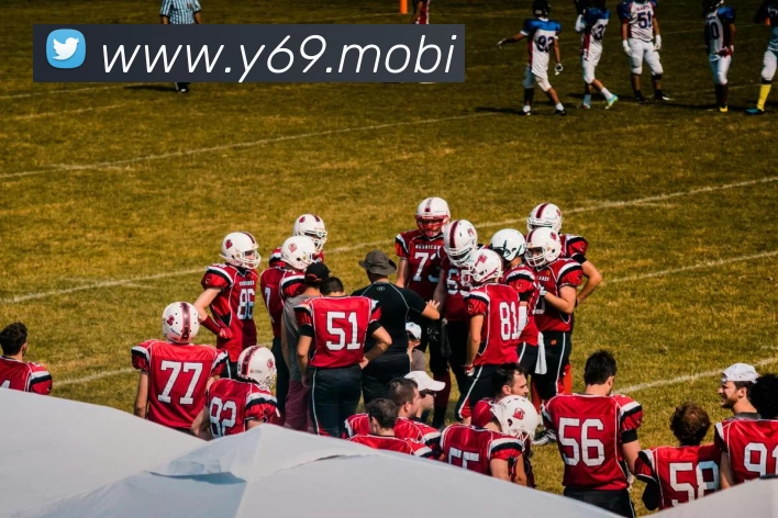 开云官方版网站登录入口 - 开云(中国)平台生态图